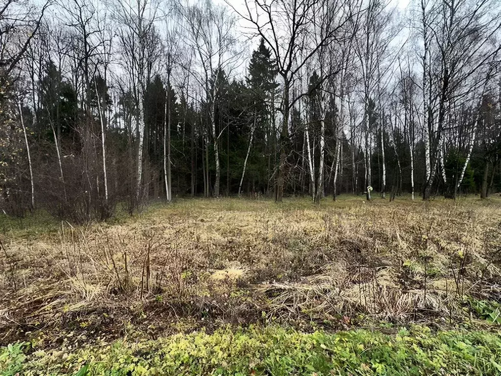 Участок в Москва Лески ОНТ,  (5.5 сот.) - Фото 2