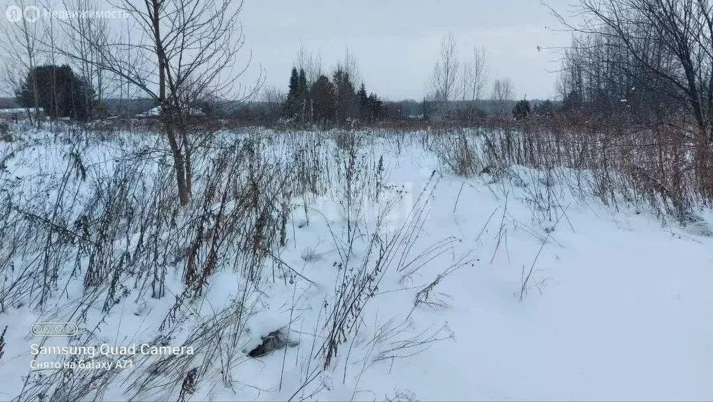 Участок в Тобольский район, Овсянниковское сельское поселение, деревня ... - Фото 1