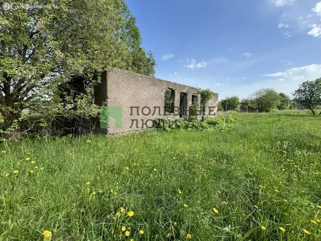 Участок в село Селихово, Новая улица, 22 (30 м) - Фото 2