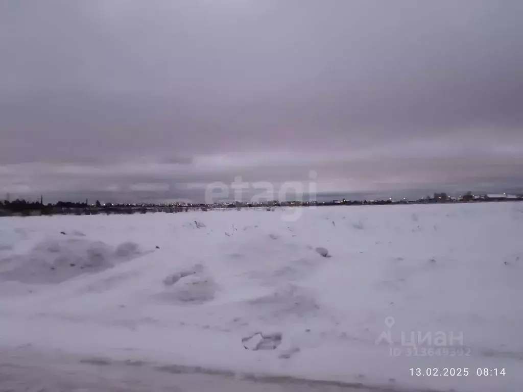 Участок в Свердловская область, Нижний Тагил ул. Фаины Шаруновой (10.0 ... - Фото 1