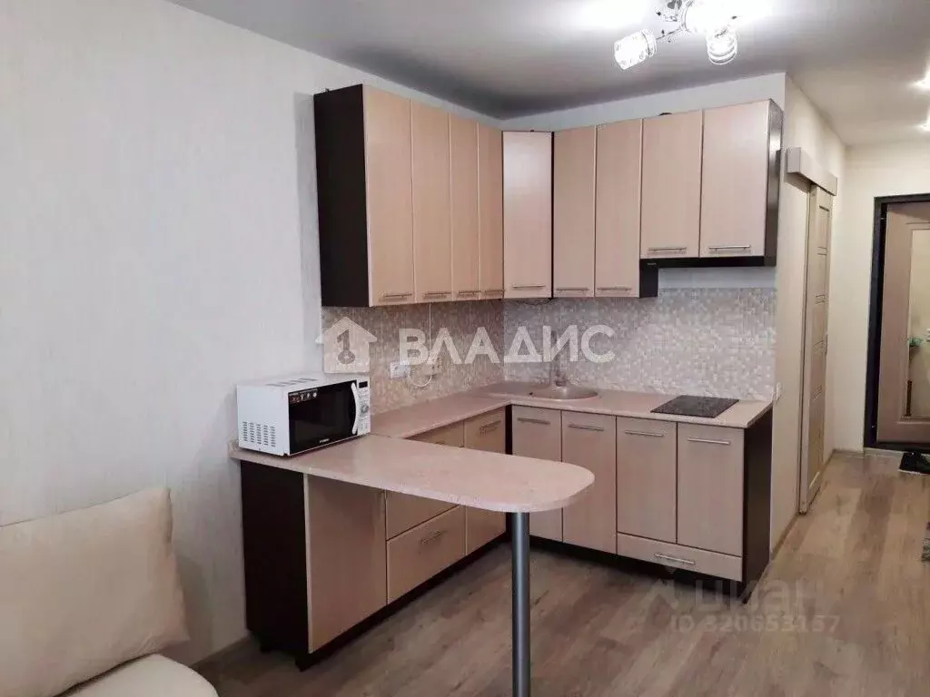 Студия Владимирская область, Владимир Добросельская ул., 188Д (23.0 м) - Фото 1