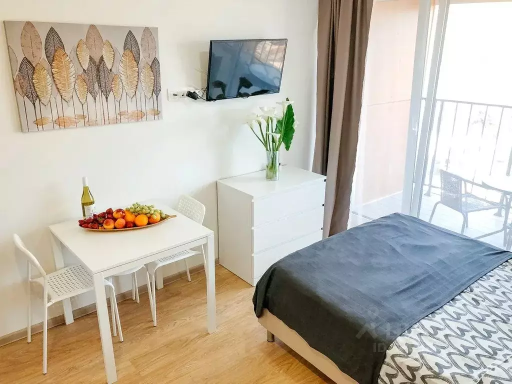 1-к кв. Краснодарский край, Сочи городской округ, Дагомыс пгт ул. ... - Фото 2