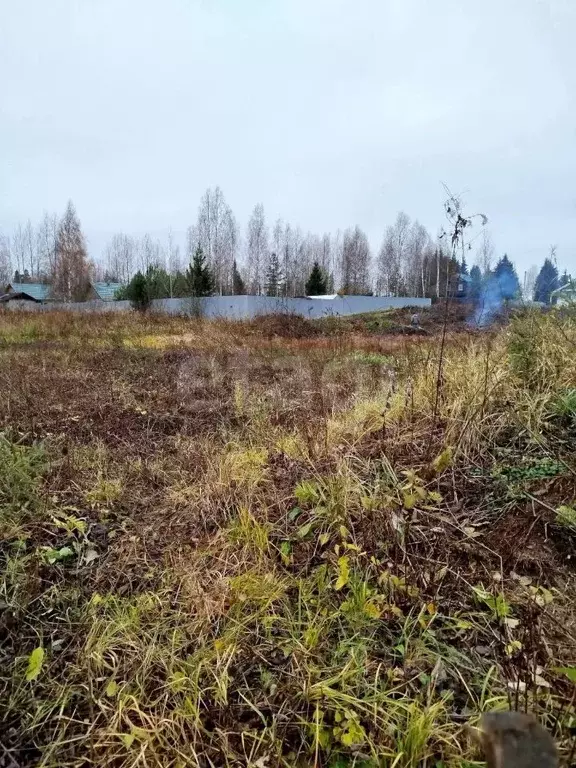 Участок в Вологодская область, Березка-3 садоводческое товарищество  ... - Фото 2