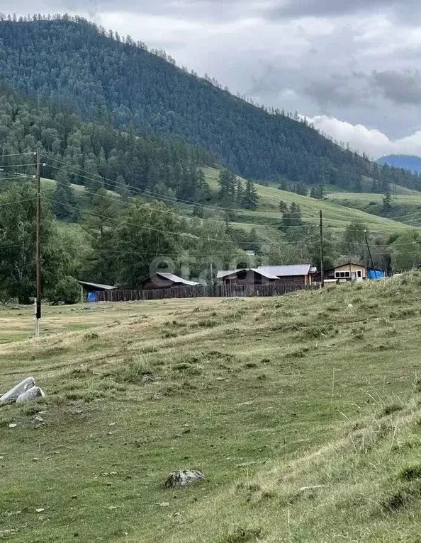 Участок в Алтай, Онгудайский район, с. Хабаровка  (15.0 сот.) - Фото 1