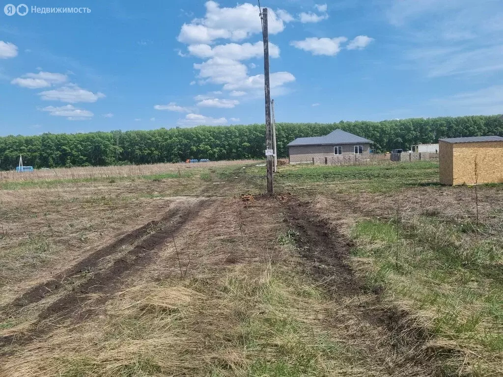 Участок в Стерлитамакский район, Казадаевский сельсовет, село Новое ... - Фото 0