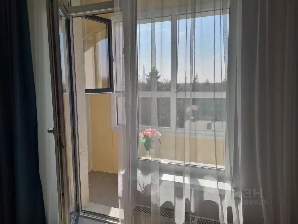 1-к кв. Санкт-Петербург Планерная ул., 87к1 (23.0 м) - Фото 1
