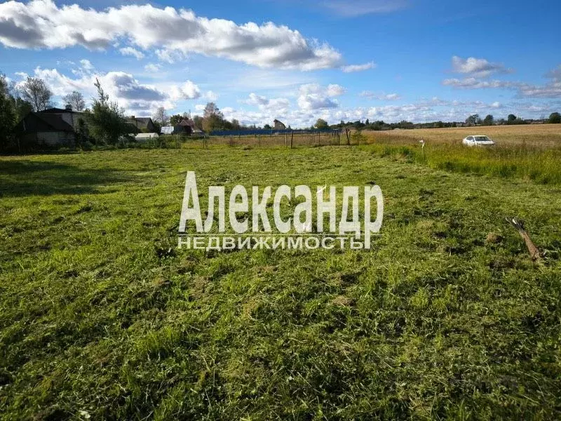 Участок в Ленинградская область, Волосовский район, Бегуницкое с/пос, ... - Фото 2