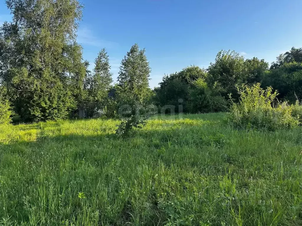 Участок в Амурская область, Благовещенский район, с. Чигири ул. ... - Фото 1