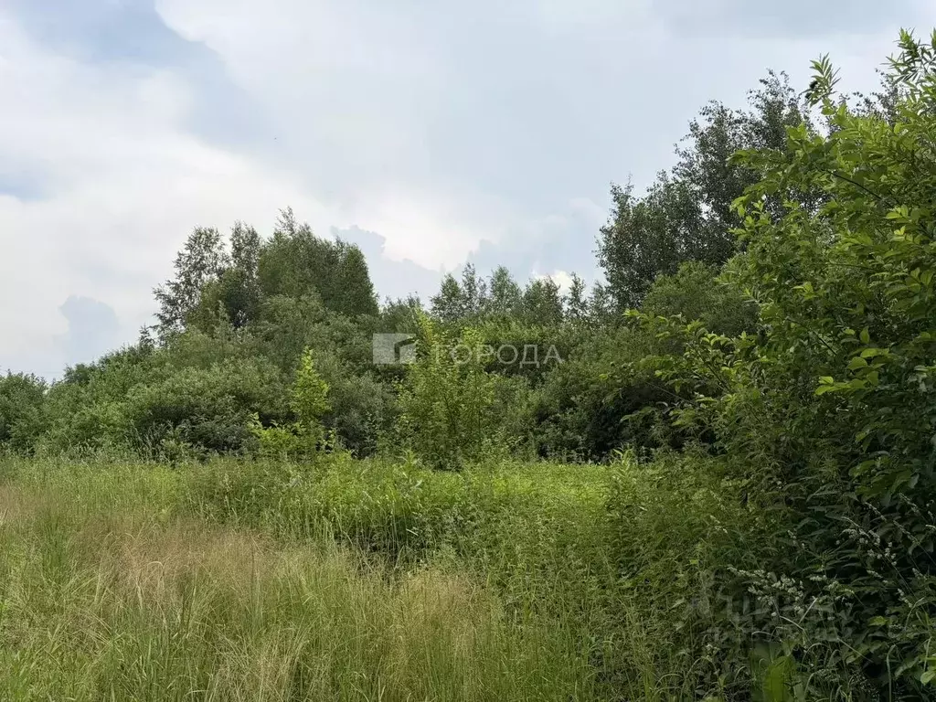 Участок в Новосибирская область, Новосибирский район, Березовский ... - Фото 1