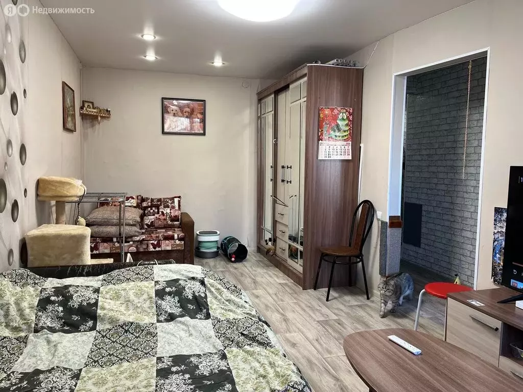 1-комнатная квартира: Березники, Юбилейная улица, 32 (28.4 м) - Фото 1