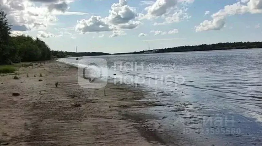 Участок в Ленинградская область, Лодейное поле ш. Ленинградское, 64 ... - Фото 2