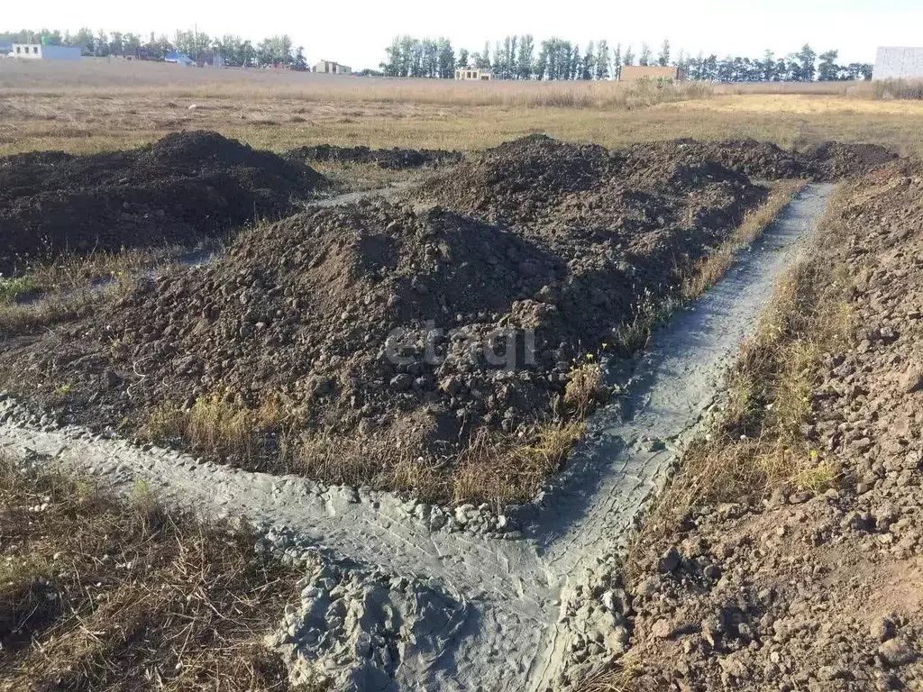 Участок в Белгородская область, Строитель Яковлевский городской округ, ... - Фото 1