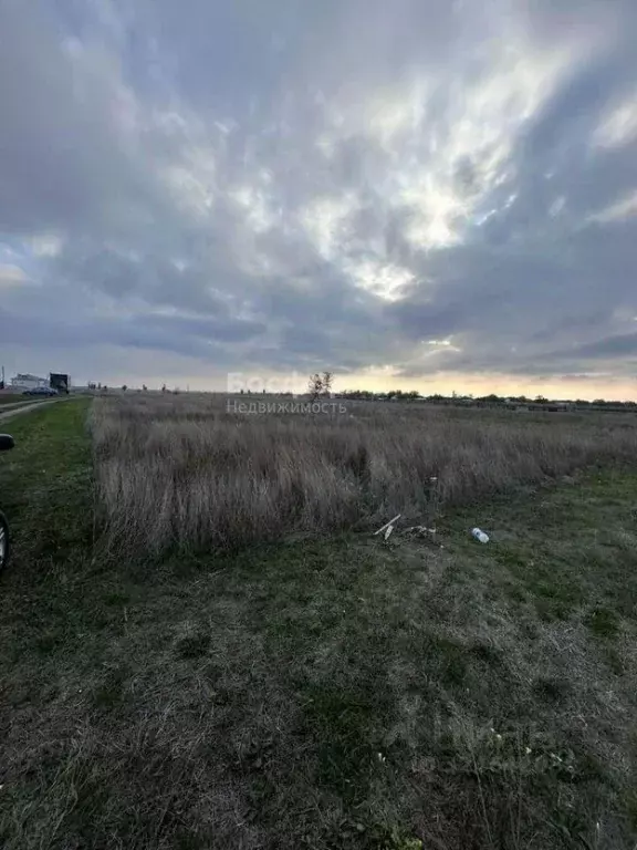 Участок в Крым, Кировский район, с. Яркое Поле ул. Высоцкого (15.0 ... - Фото 2