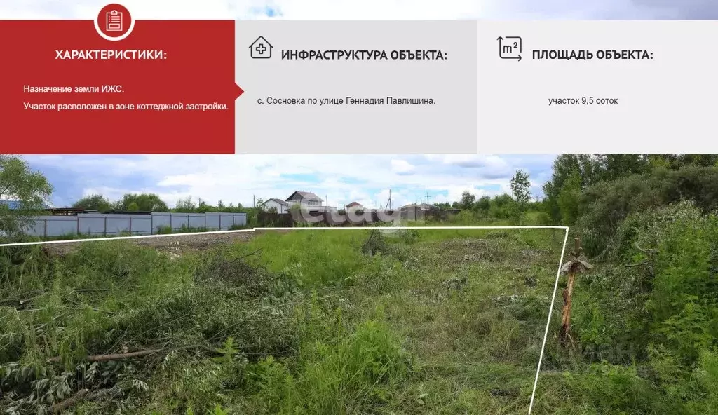 Участок в Хабаровский край, Хабаровский район, с. Сосновка ул. ... - Фото 1