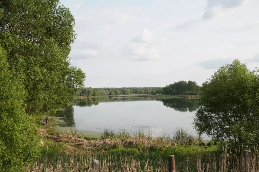 Участок в Московская область, Коломна городской округ, с. Бояркино  ... - Фото 0