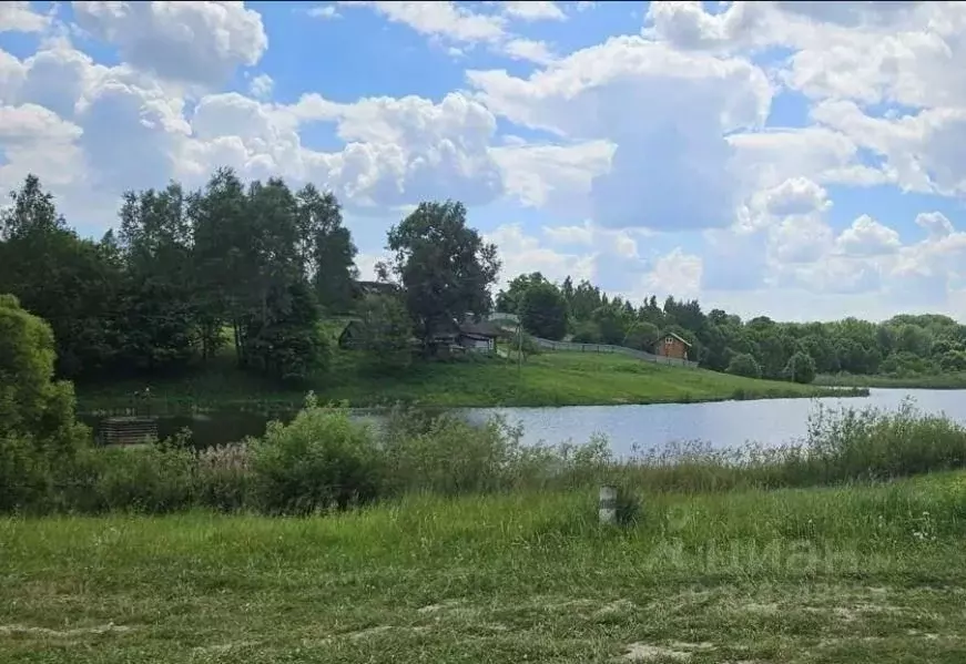 Участок в Брянская область, Жуковский муниципальный округ, с. Овстуг ... - Фото 1