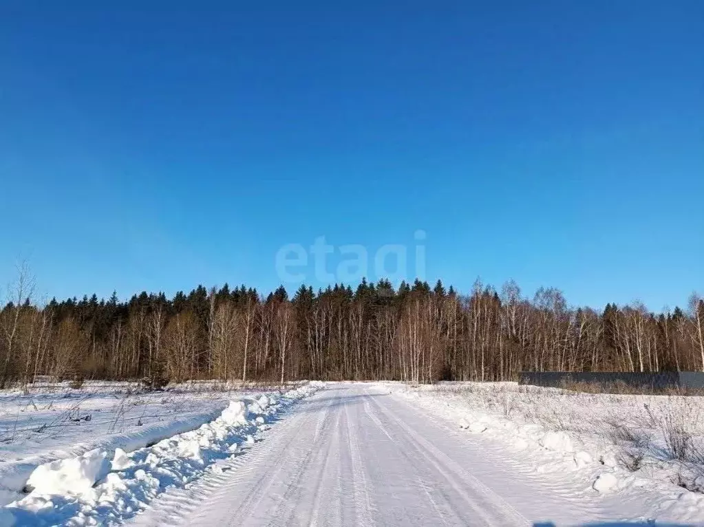 Участок в Курская область, Курский район, Моковский сельсовет, д. ... - Фото 2