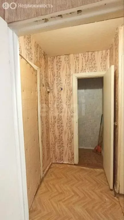 1-комнатная квартира: Семилуки, Курская улица, 40 (30.5 м) - Фото 2