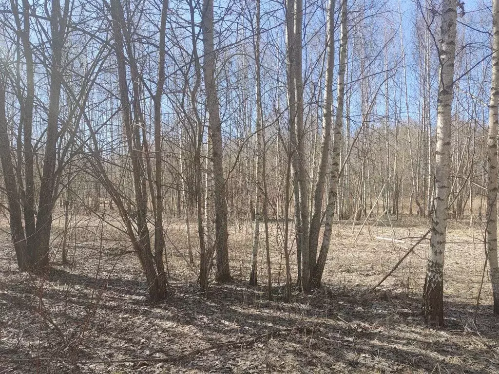 Участок в Московская область, Мытищи городской округ, пос. Менжинец  ... - Фото 0