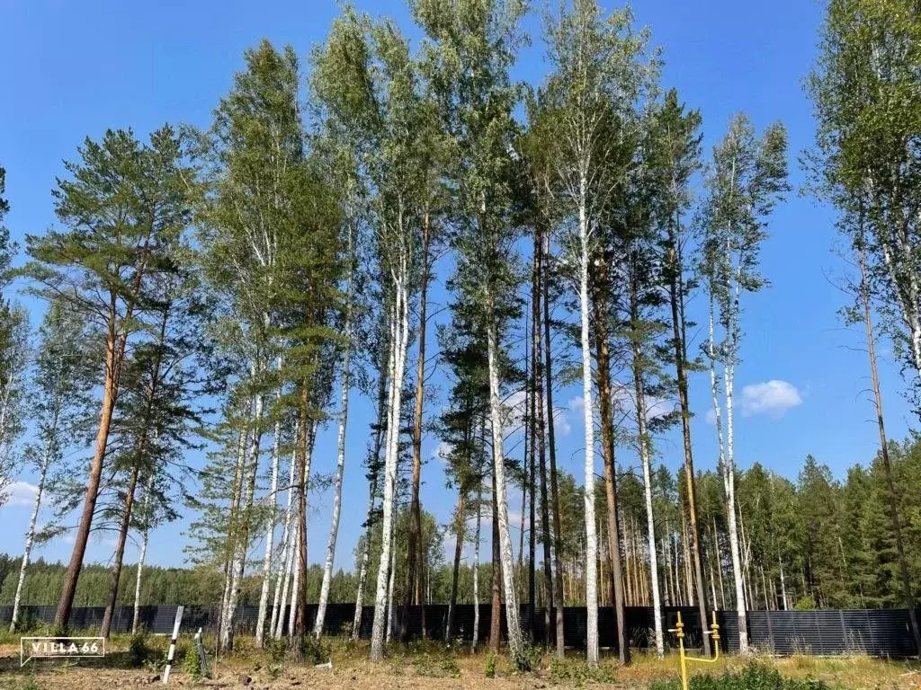 Участок в Свердловская область, Сысертский городской округ, пос. ... - Фото 0