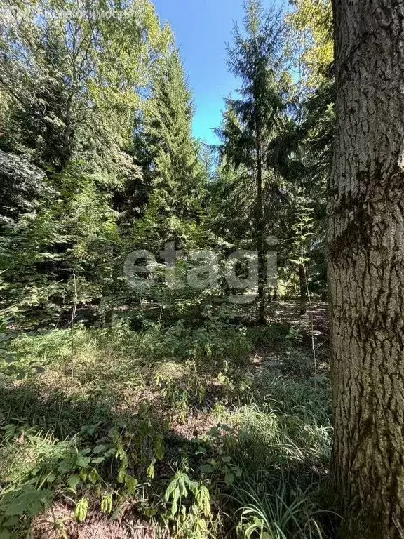 Участок в Морозовский сельсовет, СНТ Морозко, 1-е поле (10 м) - Фото 1