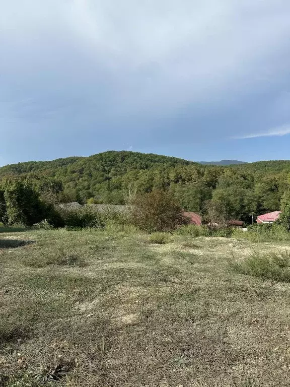 Участок в Краснодарский край, Геленджик муниципальное образование, с. ... - Фото 0