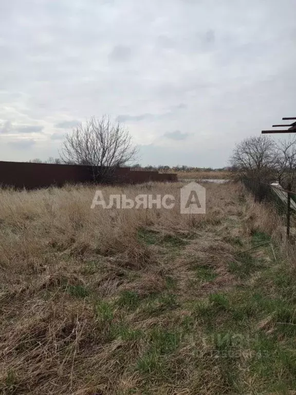 Участок в Краснодарский край, Тимашевский район, Дербентское с/пос, ... - Фото 1