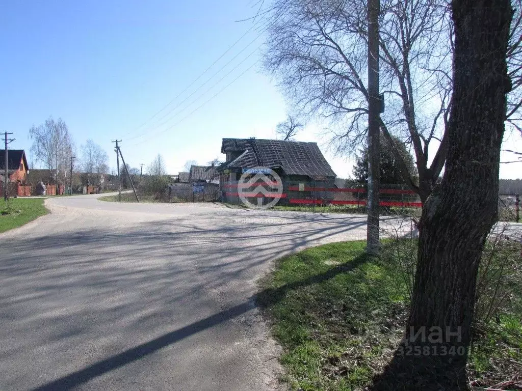 Участок в Московская область, Клин городской округ, д. Васильково  ... - Фото 1