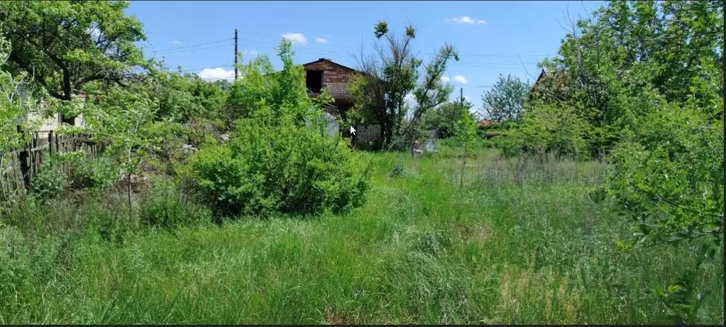 Участок в Волгоградская область, Городищенский район, Царицынское ... - Фото 0