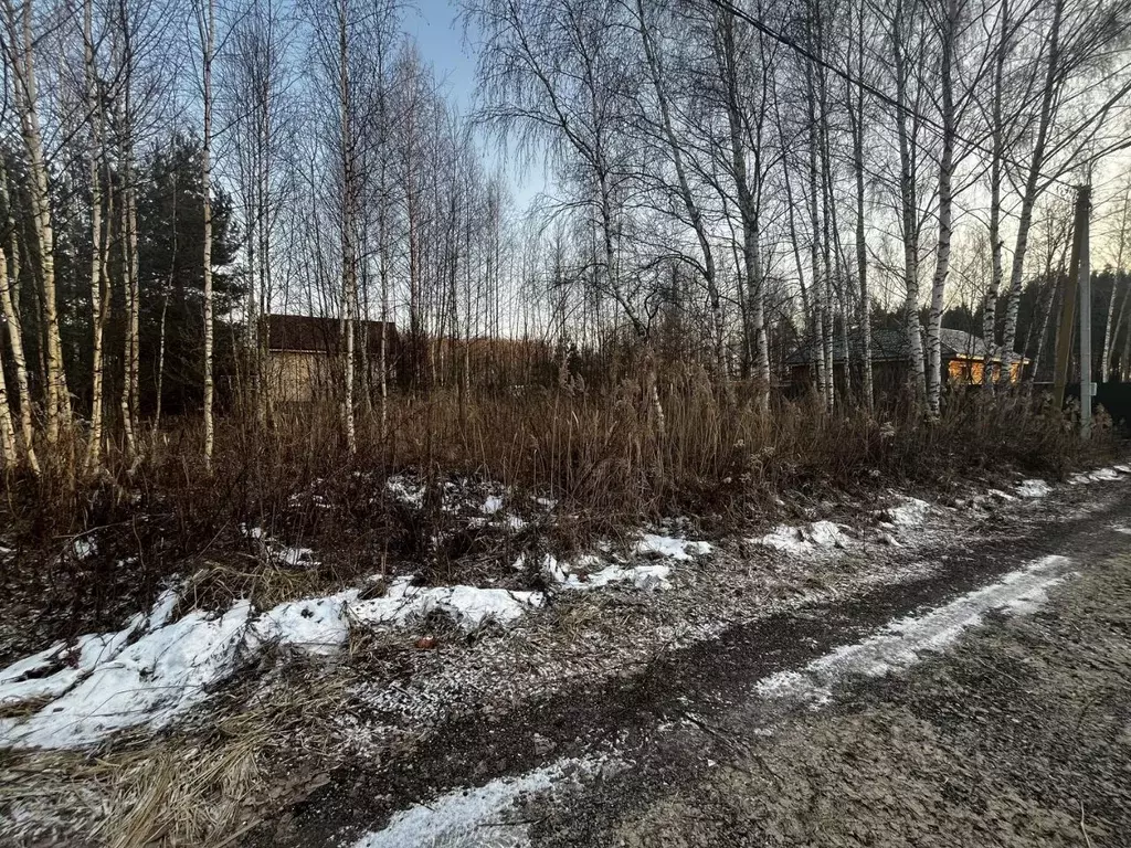 Участок в Московская область, Павлово-Посадский городской округ, д. ... - Фото 0