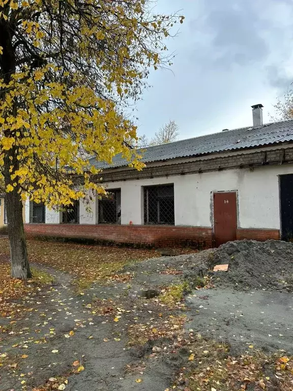 Помещение свободного назначения в Брянская область, Брянский район, ... - Фото 1