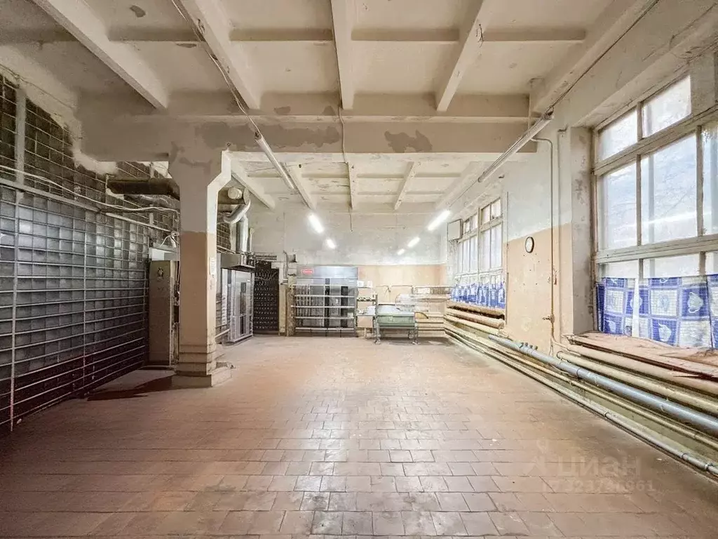 Помещение свободного назначения в Псковская область, Псков Школьная ... - Фото 1