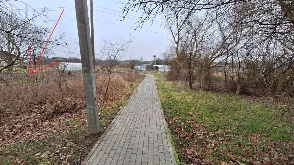 Участок в Калининградская область, Балтийский городской округ, пос. ... - Фото 2
