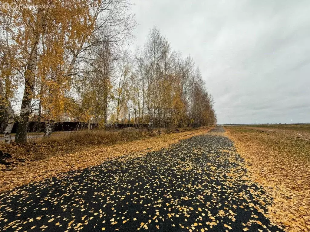 Участок в Лаишевский район, село Сокуры (10 м) - Фото 1