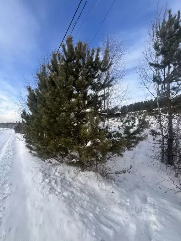 Участок в Красноярский край, Емельяновский муниципальный округ, ... - Фото 1