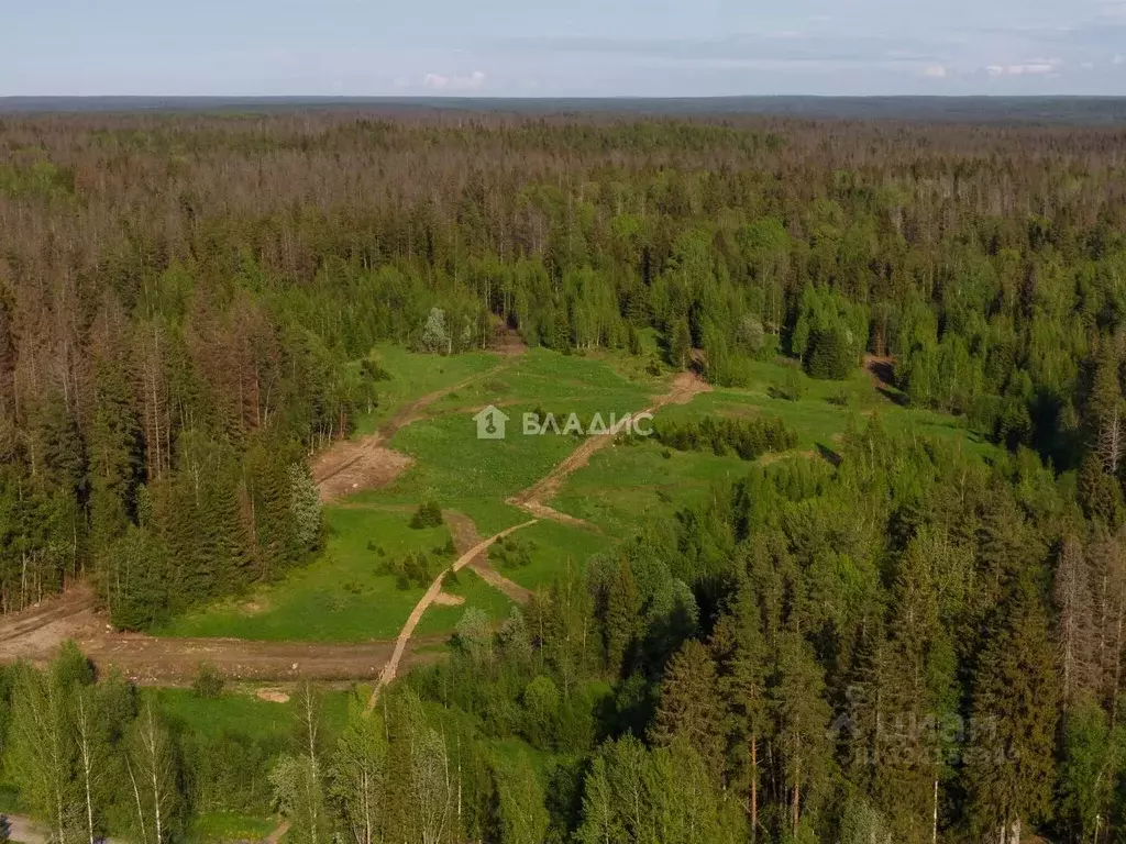 Участок в Ленинградская область, Выборгский район, Первомайское с/пос, ... - Фото 1