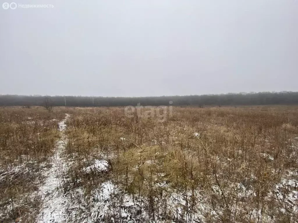 Участок в Старый Оскол, микрорайон Пушкарская Дача (15 м) - Фото 1