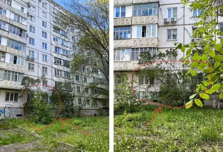 2-к кв. Ставропольский край, Ставрополь ул. Доваторцев, 65/1 (53.0 м) - Фото 1