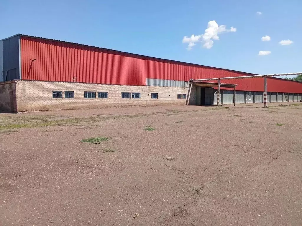 Склад в Оренбургская область, Оренбург Шарлыкское ш., 34А (5000 м) - Фото 1