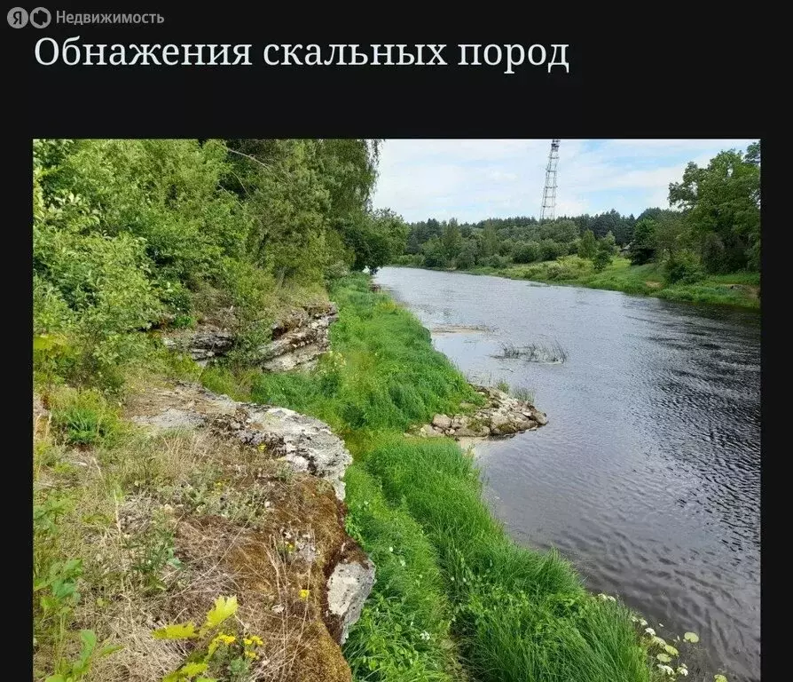 Участок в Большие Поля, Дорожная улица, 57 (12 м) - Фото 1