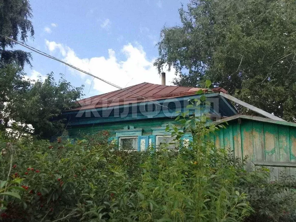 Дом в Новосибирская область, с. Довольное ул. Колхозная (48 м) - Фото 0