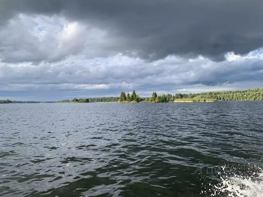 Участок в Новгородская область, Валдайский район, Ивантеевское с/пос, ... - Фото 0