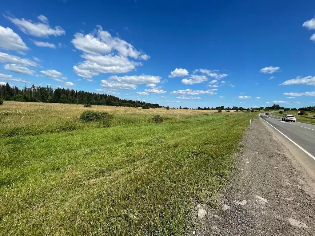 Участок в Пермский край, Ильинский муниципальный округ, д. Тупица ... - Фото 2