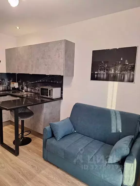 Студия Москва 1-й Грайвороновский проезд, 13к4 (20.0 м) - Фото 2