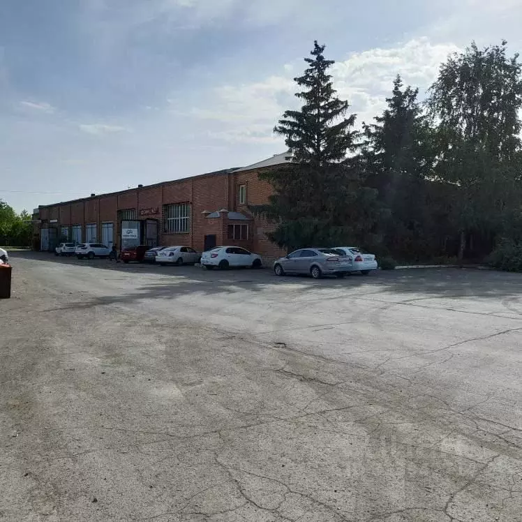 Помещение свободного назначения в Оренбургская область, Оренбург ... - Фото 2