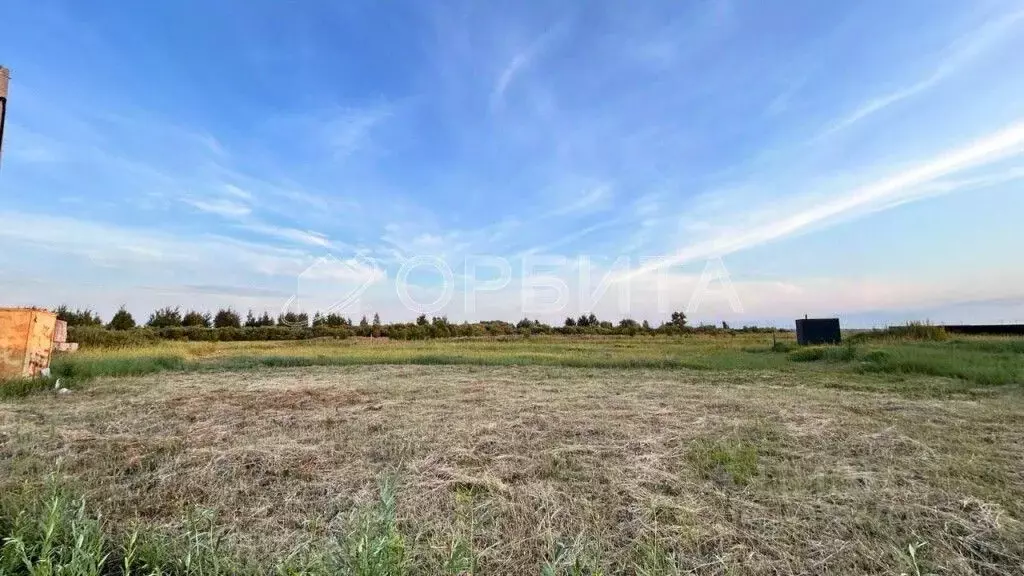 Участок в Тюменская область, Тюменский район, с. Чикча  (350.0 сот.) - Фото 0