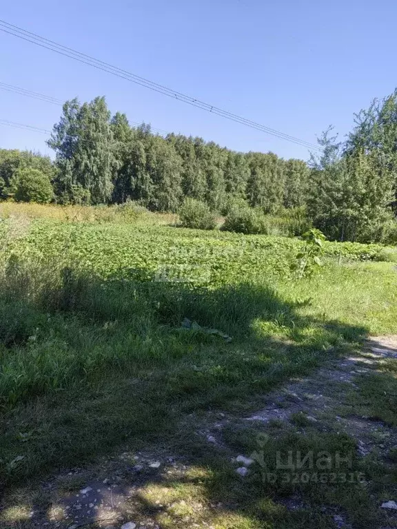 Дом в Тюменская область, Тюмень Надежда-2 садовое товарищество, ул. ... - Фото 1
