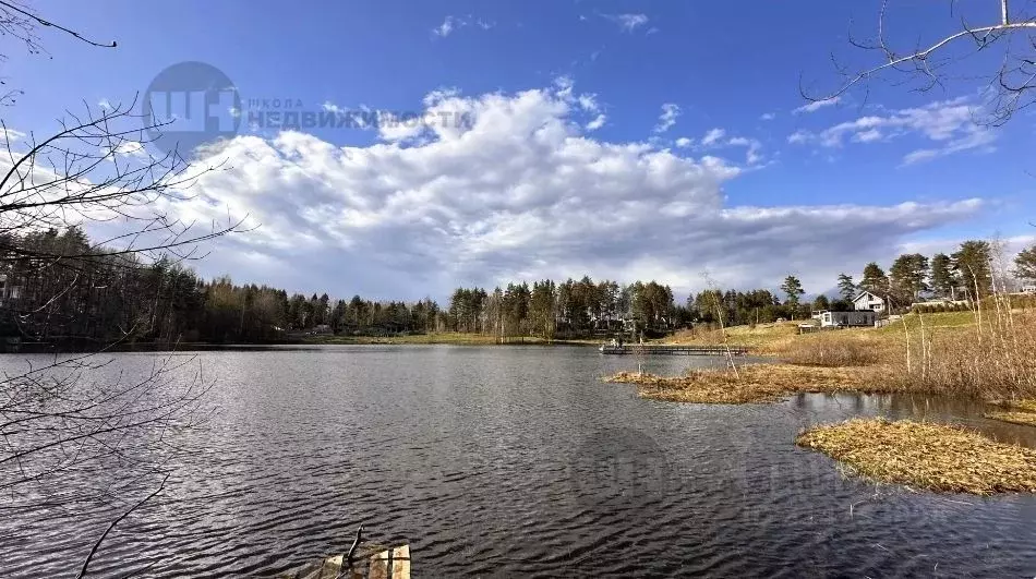 Участок в Ленинградская область, Всеволожский район, Куйвозовское ... - Фото 1
