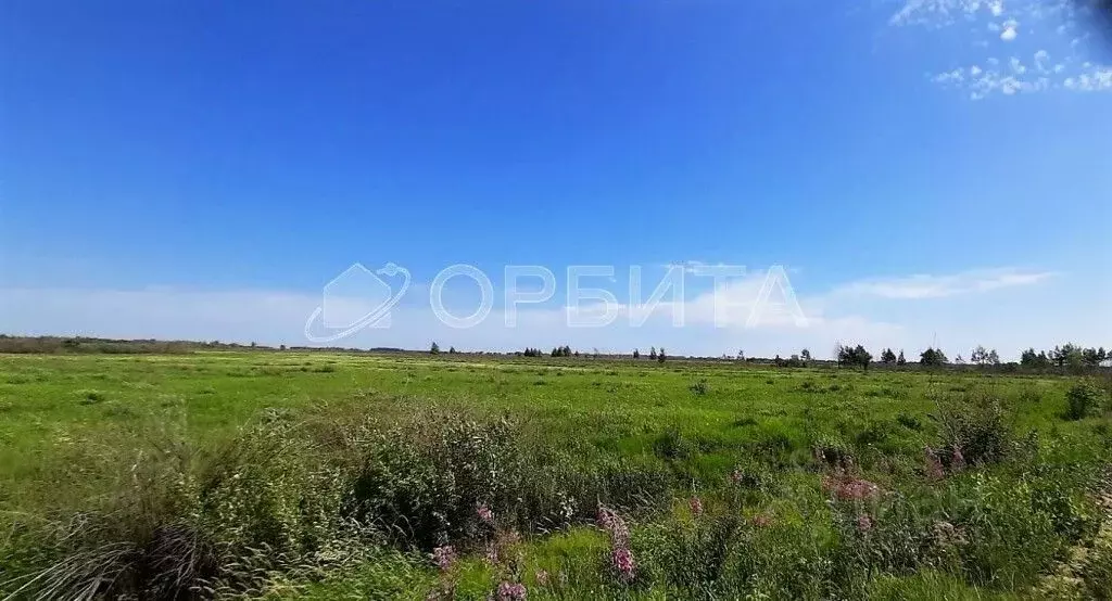 Участок в Тюменская область, Тюменский район, с. Борки  (40.5 сот.) - Фото 0