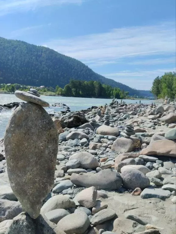 Дом в Алтай, Чемальский район, с. Анос ул. Нагорная, 19 (50 м) - Фото 2
